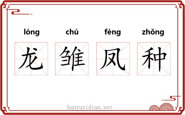龙雏凤种 龙雏凤种