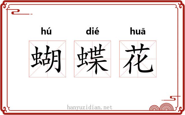 蝴蝶花 蝴蝶花