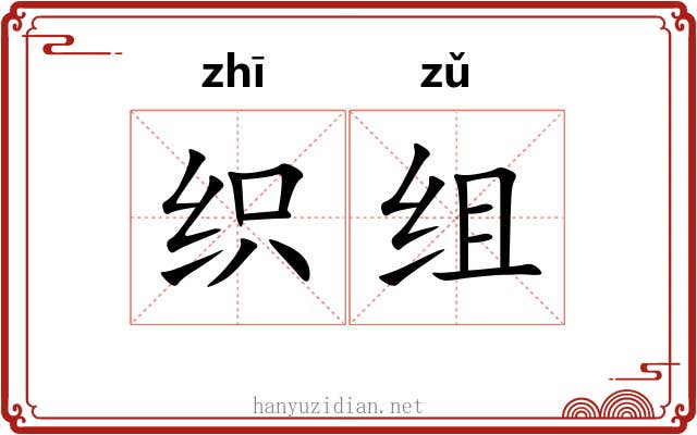 织组 织组