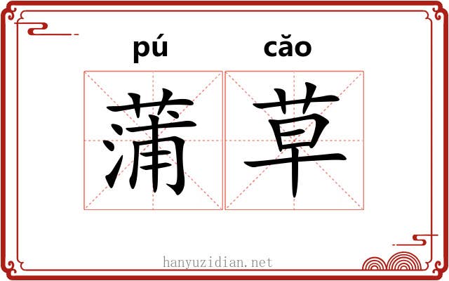 蒲草 蒲草