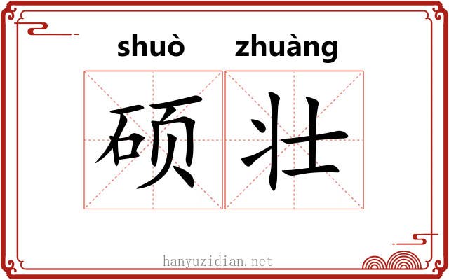 硕壮