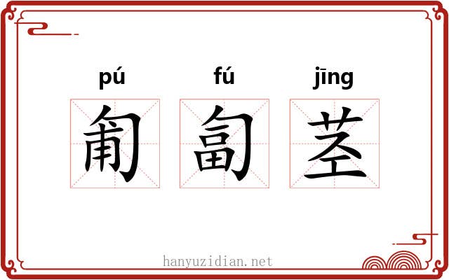 匍匐茎