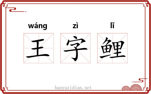王字鲤 王字鲤
