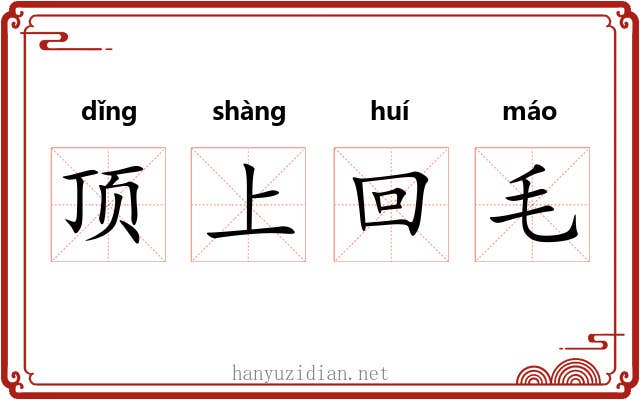 顶上回毛 顶上回毛