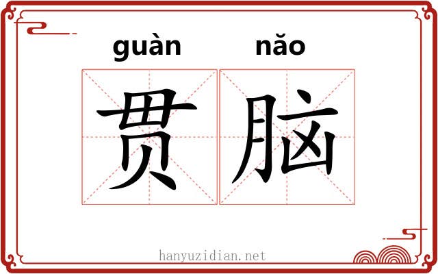 贯脑 贯脑