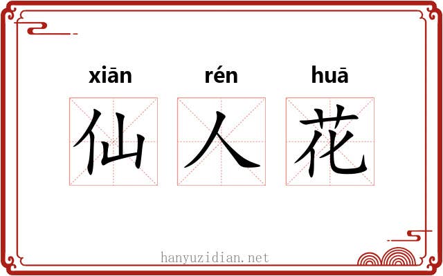 仙人花 仙人花