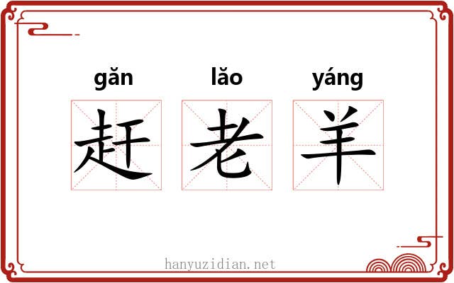 赶老羊