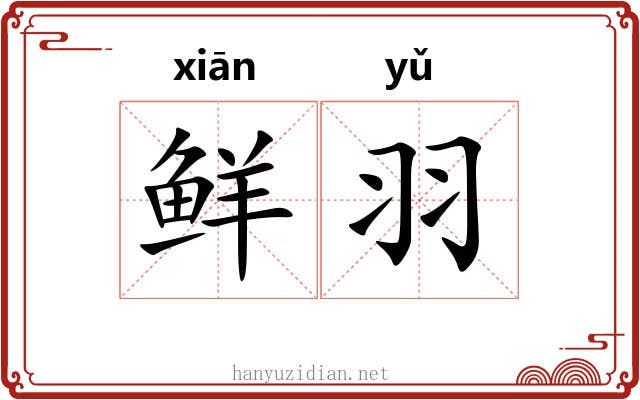 鲜羽 鲜羽