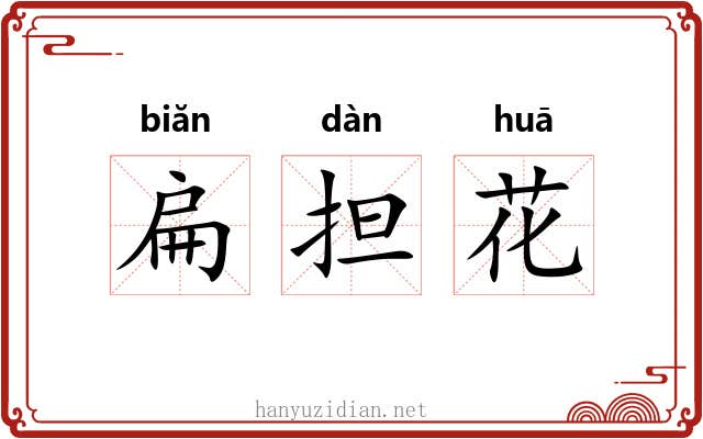 扁担花