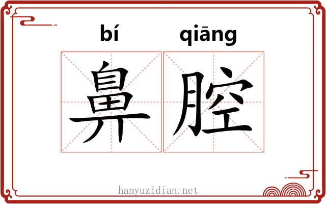 鼻腔