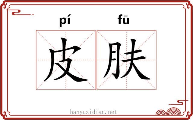 皮肤