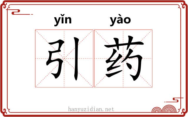 引药