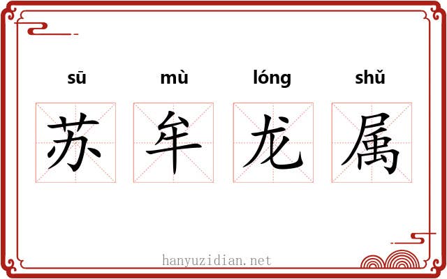 苏牟龙属