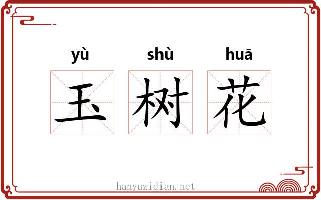 玉树花 玉树花