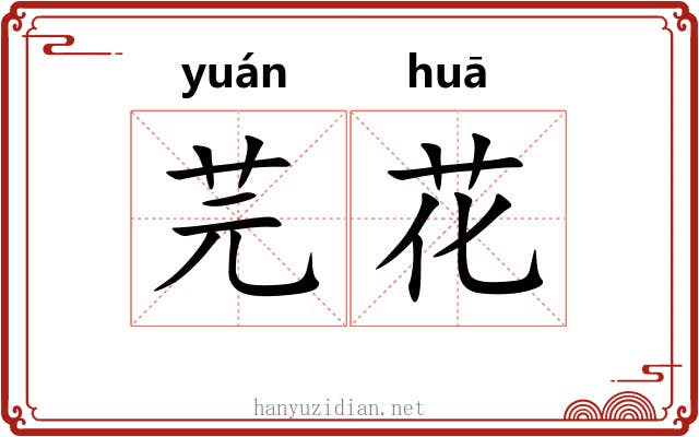 芫花 芫花