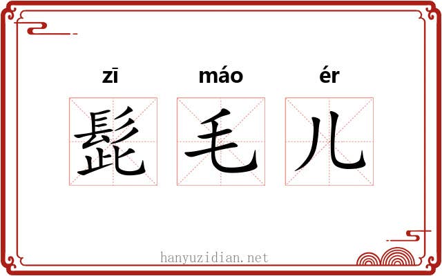 髭毛儿 髭毛儿