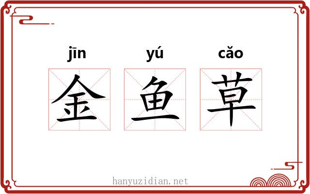 金鱼草