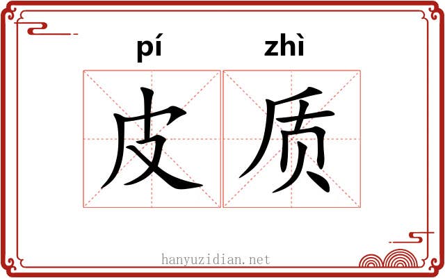 皮质