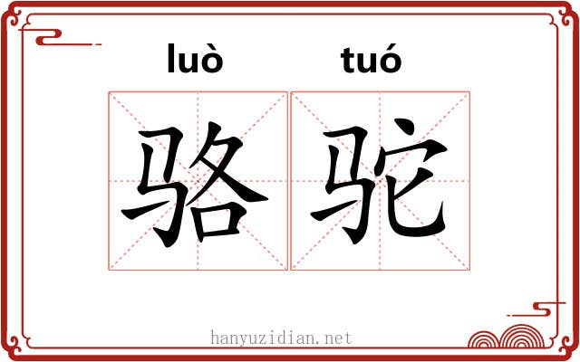 骆驼 骆驼