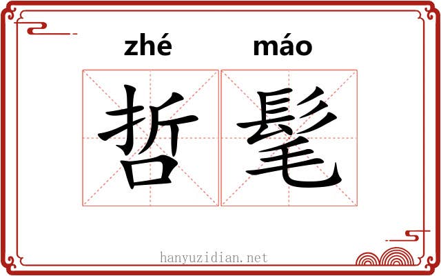 哲髦