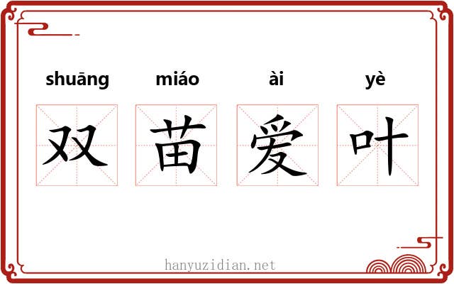双苗爱叶 双苗爱叶