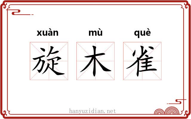 旋木雀 旋木雀