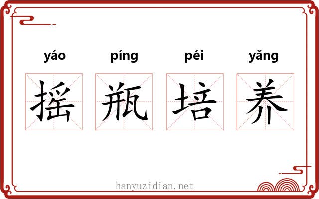 摇瓶培养 摇瓶培养