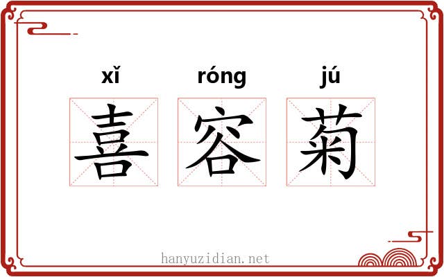 喜容菊 喜容菊