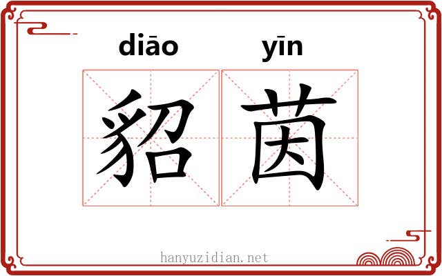 貂茵