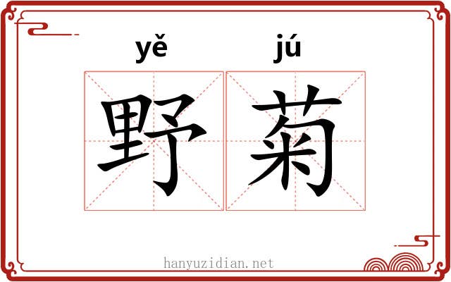 野菊