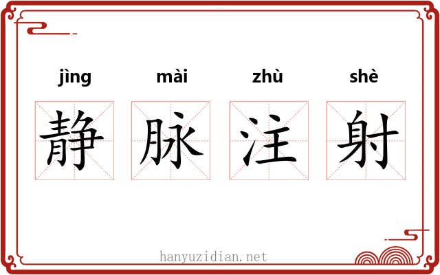 静脉注射 静脉注射