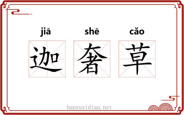 迦奢草