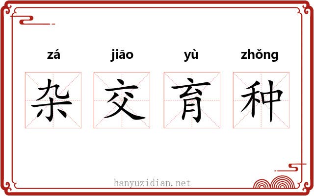 杂交育种 杂交育种