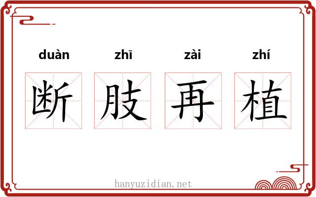 断肢再植 断肢再植