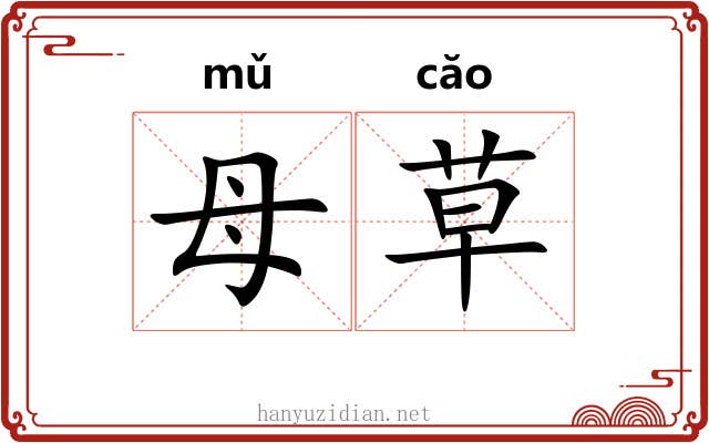 母草 母草