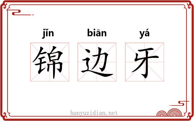 锦边牙 锦边牙