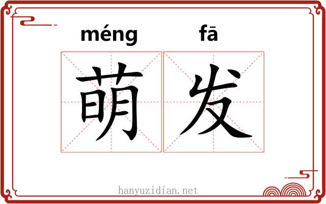 萌发 萌发