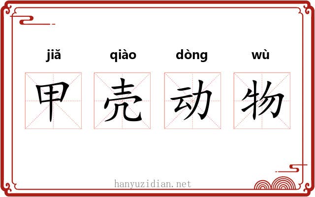 甲壳动物 甲壳动物