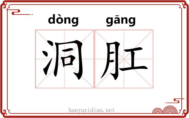 洞肛
