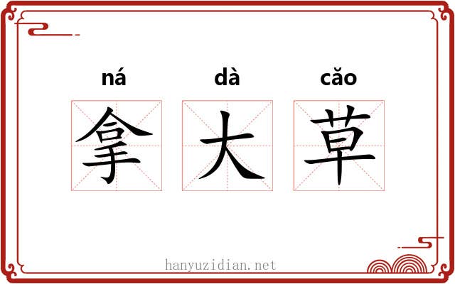 拿大草 拿大草