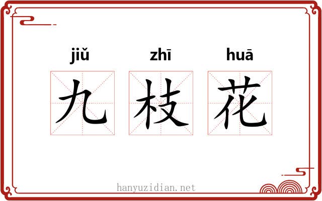 九枝花 九枝花