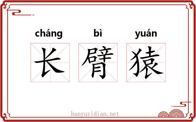 长臂猿 长臂猿
