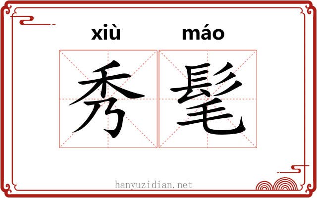 秀髦 秀髦
