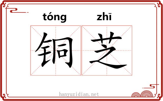 铜芝