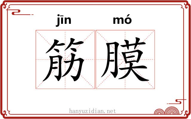 筋膜