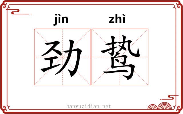 劲鸷