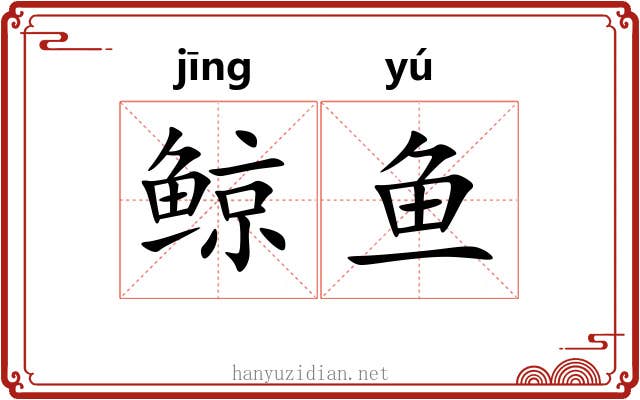 鲸鱼