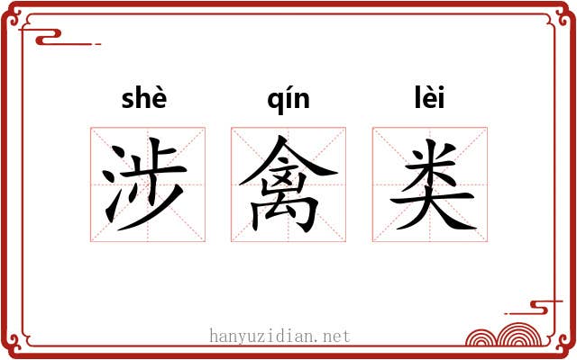 涉禽类