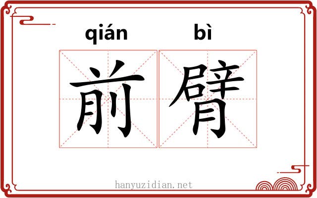 前臂