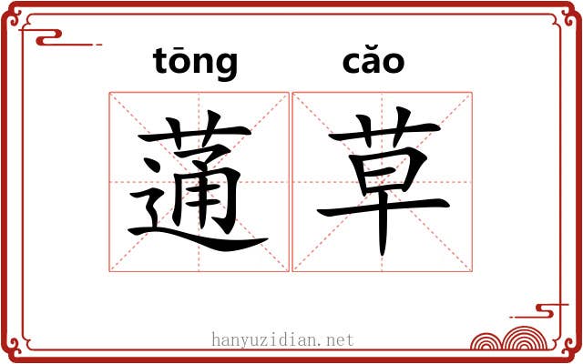 蓪草 蓪草